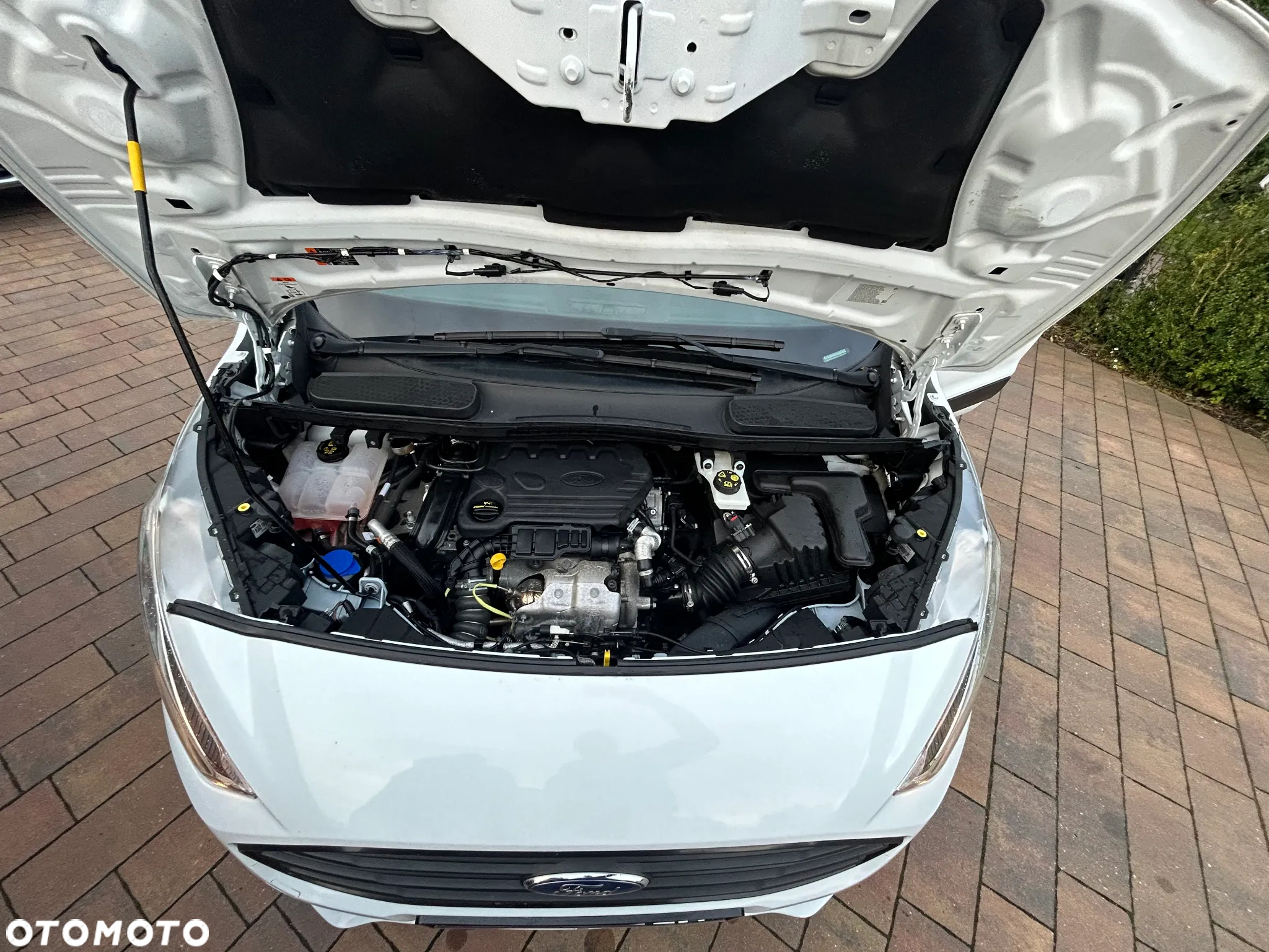 Ford Transit Connect - 16