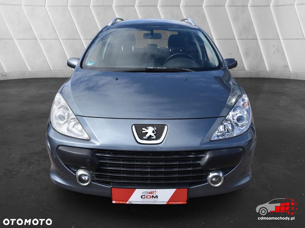 Peugeot 307 - 5