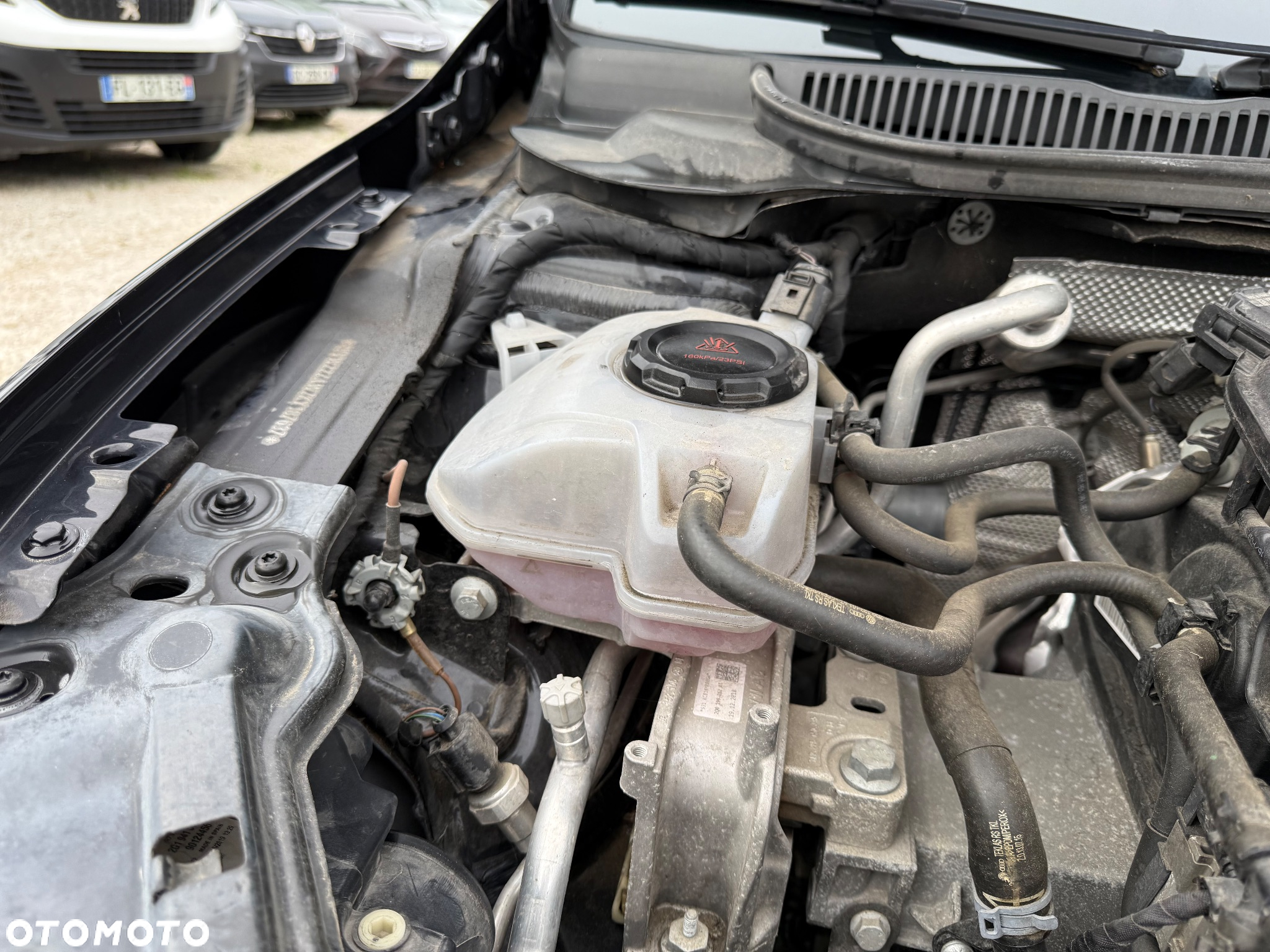 Volkswagen Polo - 21