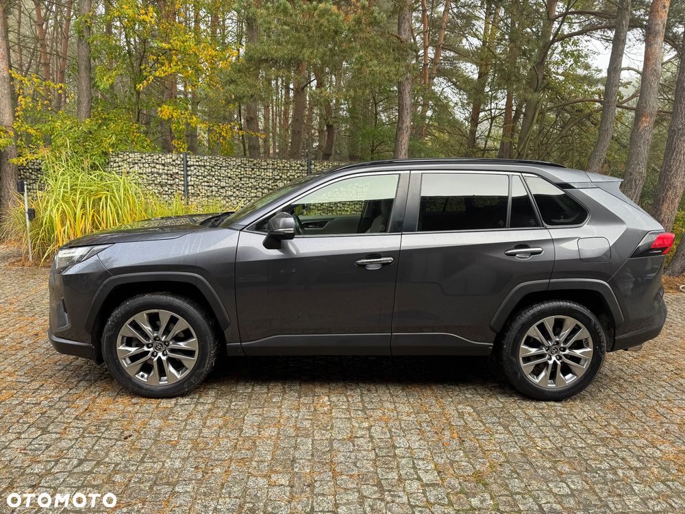 Toyota RAV4 2.5 Hybrid Executive 4x2 - 10