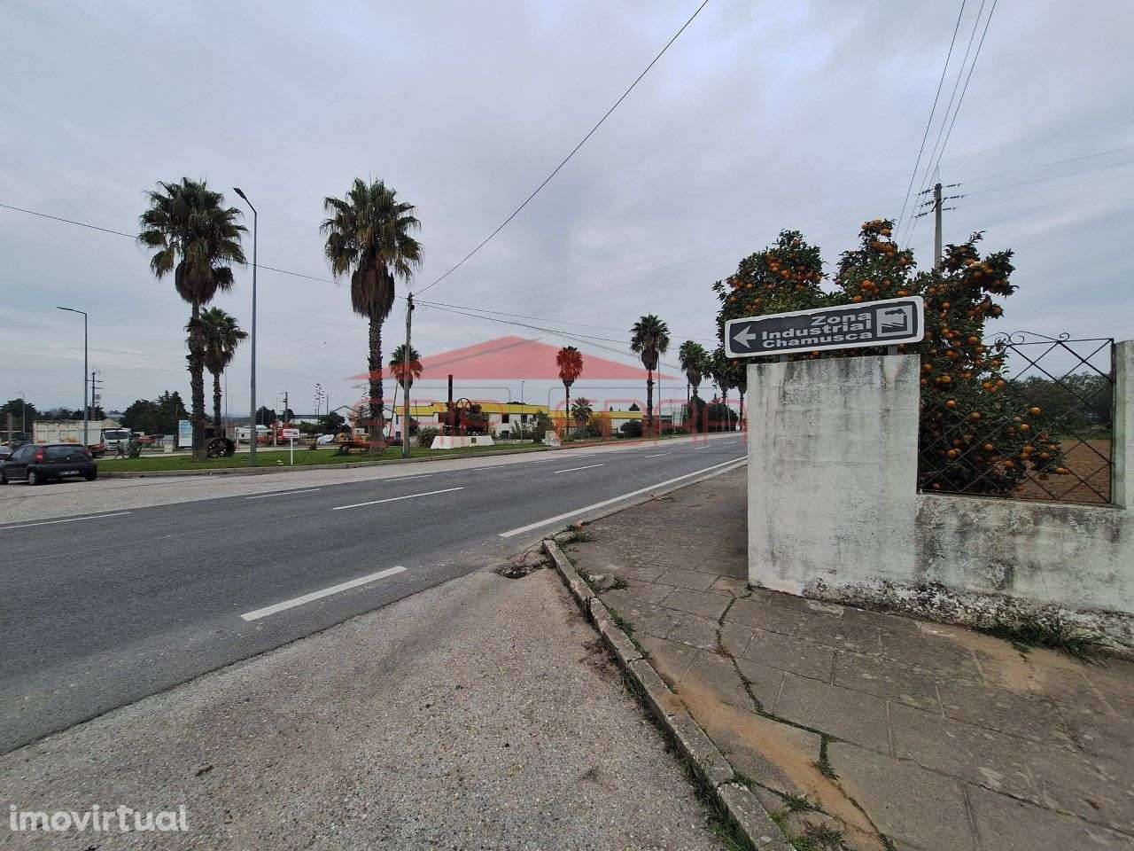 Armazém para comércio ou indústria zona atividades Chamusca Santarém - Grande imagem: 3/40