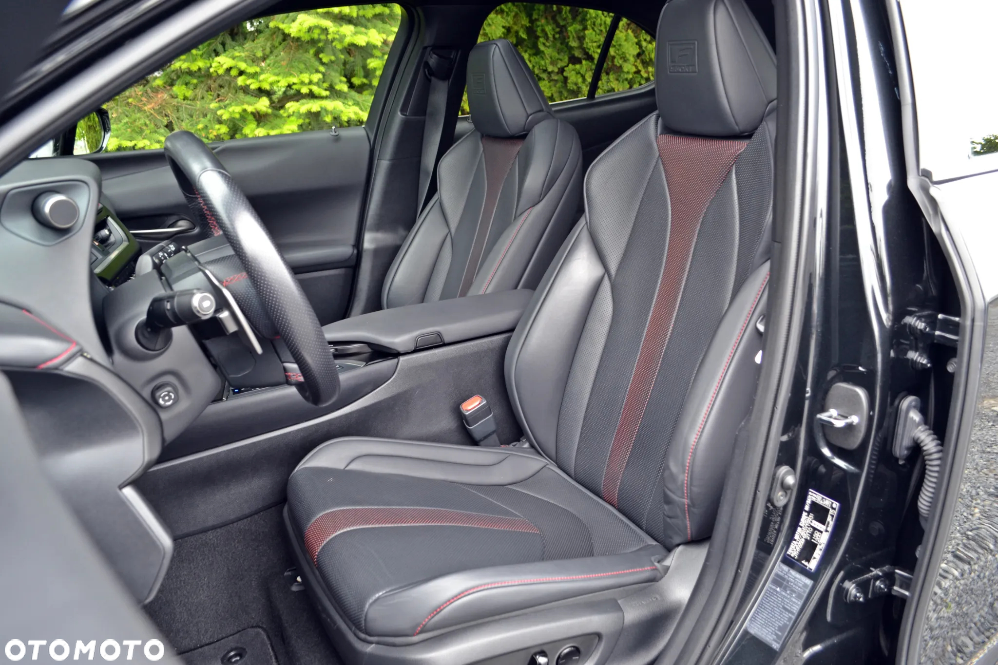 Lexus UX 250h F Sport 2WD - 19