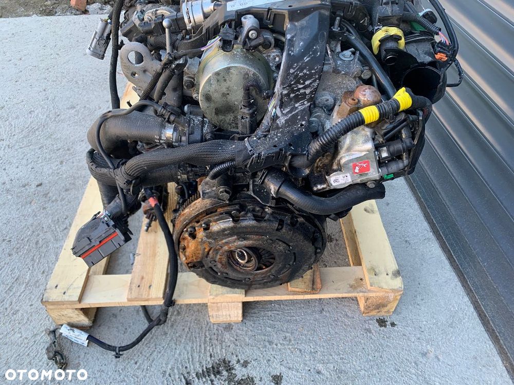 silnik kompletny wtryski turbo jumpy III expert III vivaro c proace II scudo 2.0 blue hdi 2024r DW10FD - 3