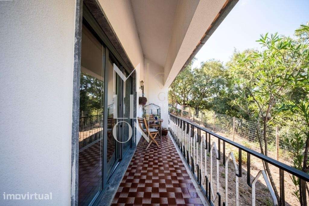 Moradia Isolada T3 com Terreno de 4829m2 – Reguengo do Fetal, Batal - Grande imagem: 5/25
