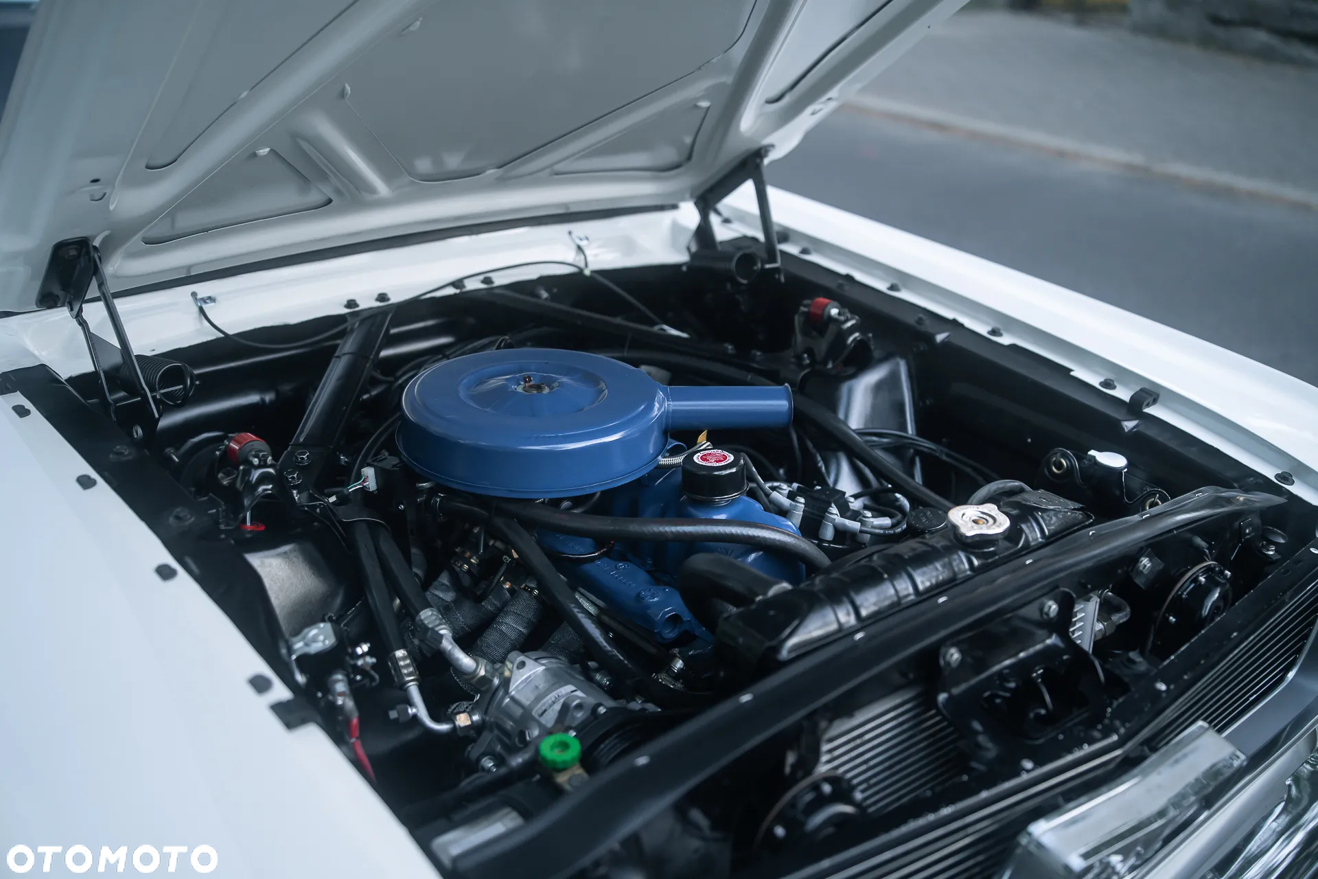 Ford Mustang - 17