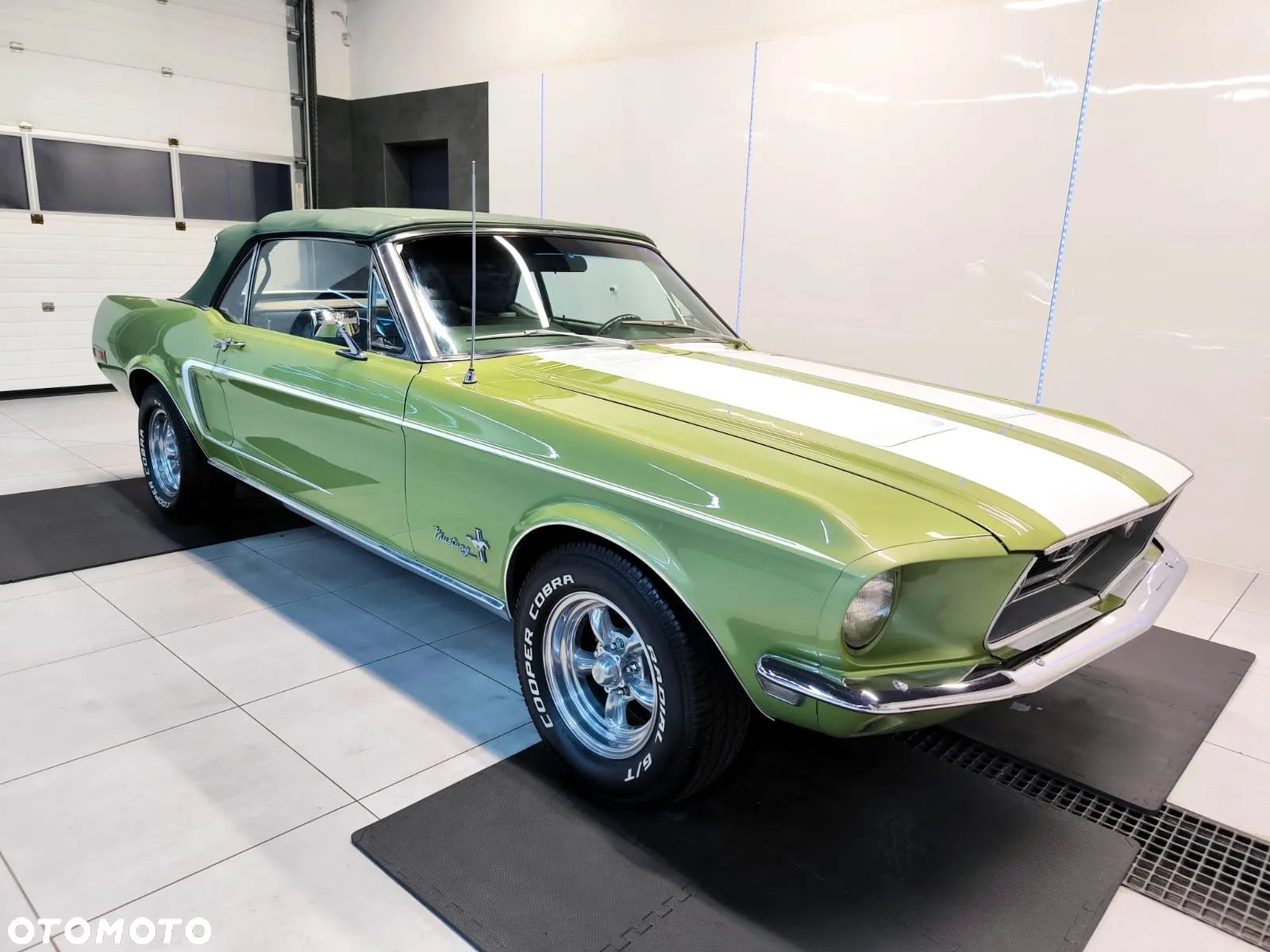 Ford Mustang - 1
