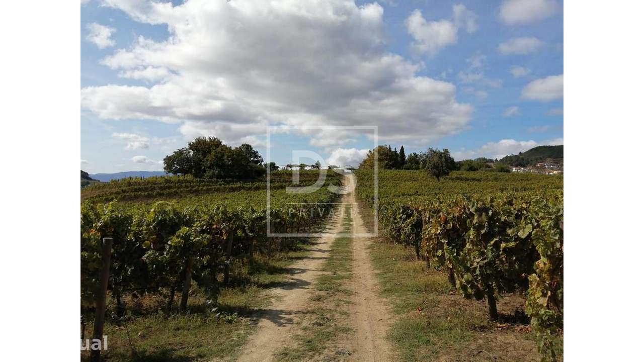 Quinta da Cumeira - Grande imagem: 2/53