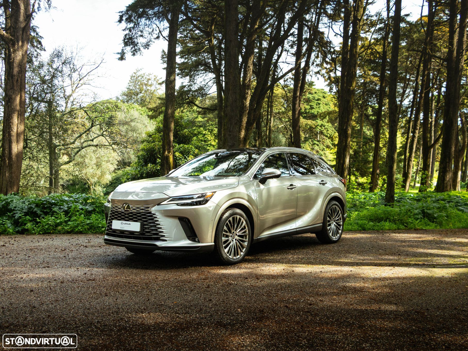 Lexus rx-450h - 1