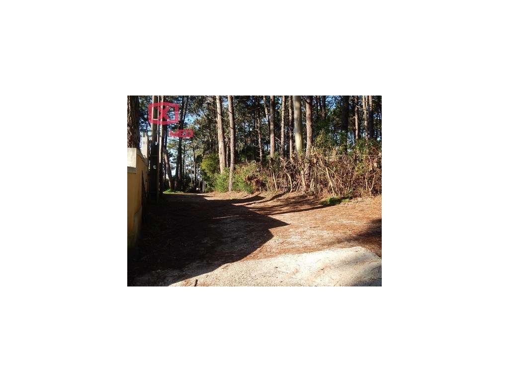 Areal - Janas - Grande imagem: 4/5