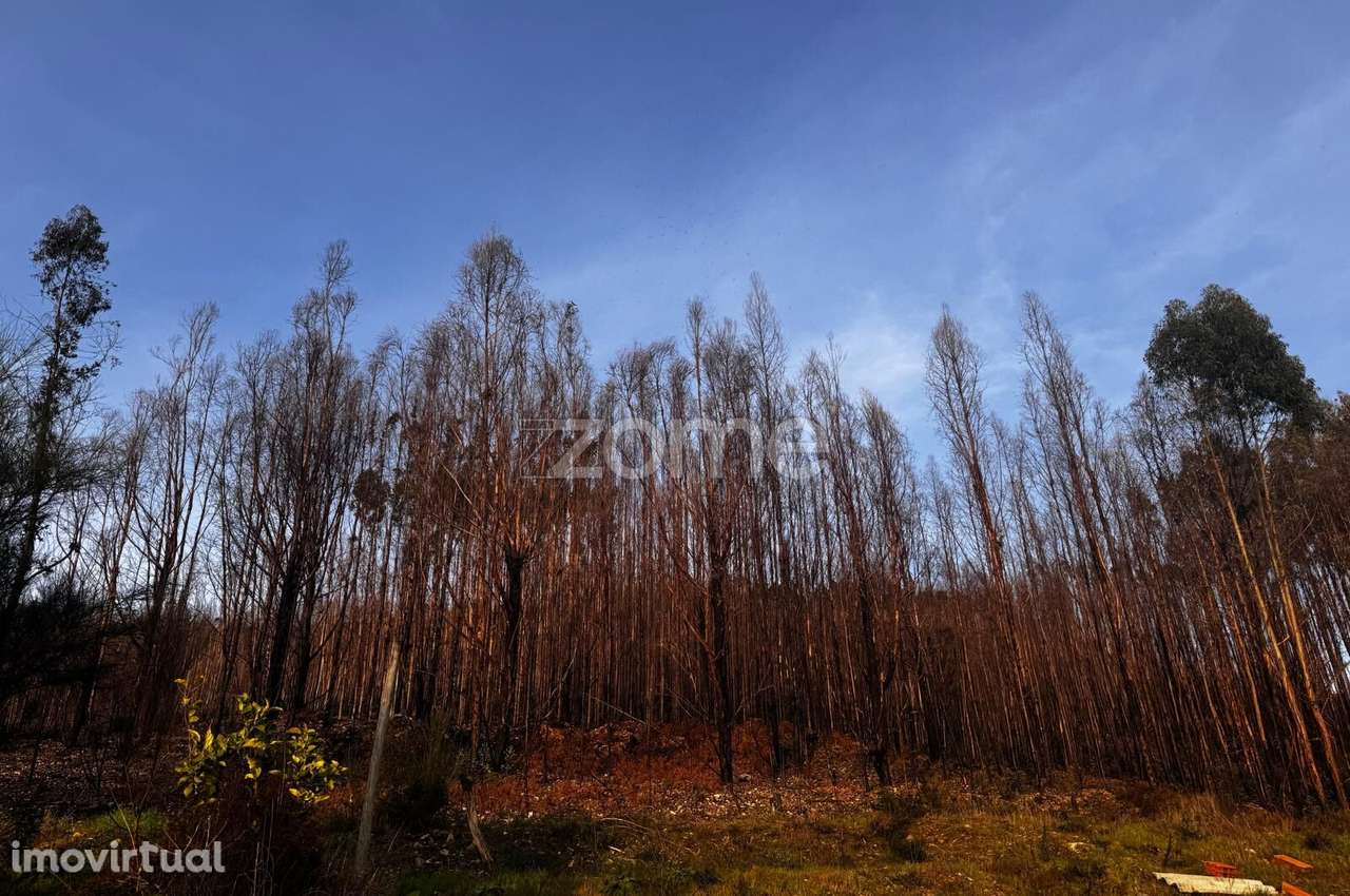 Terreno Urbano em Melres - Grande imagem: 5/26