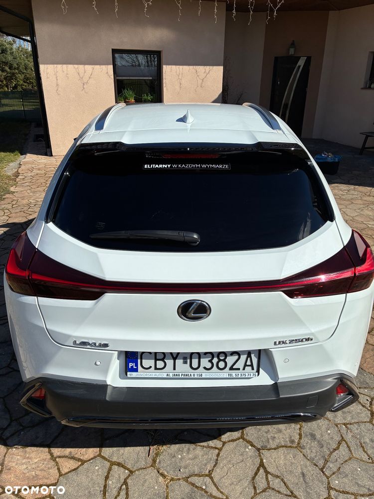 Lexus UX 250h F Sport 2WD - 8