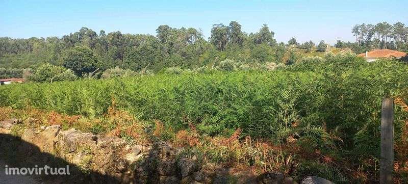 Terreno Cavernães - Viseu - Grande imagem: 5/11