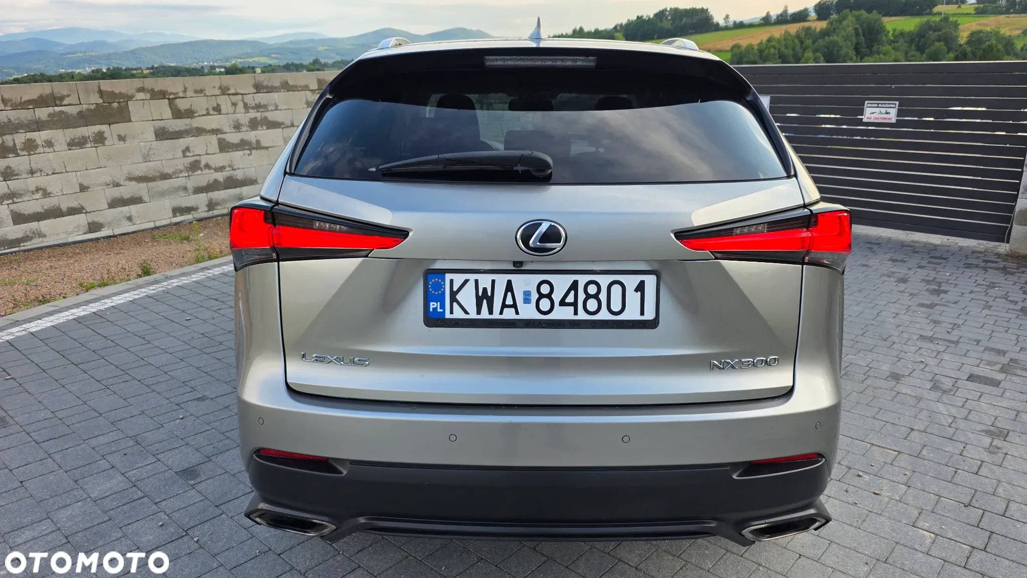 Lexus NX - 5