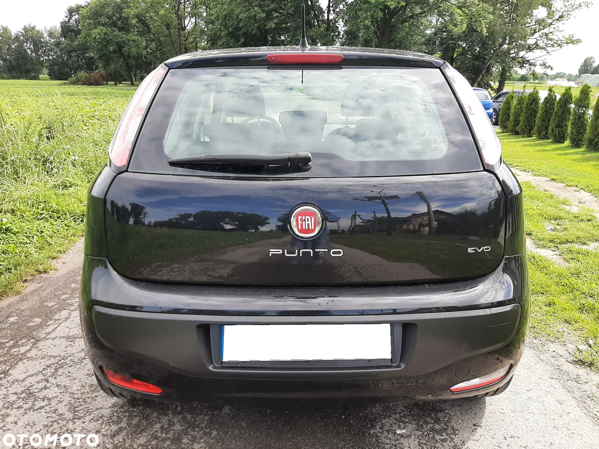 Fiat Punto Evo 1.4 8V Dynamic - 12
