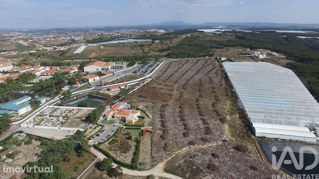Terreno em A dos Cunhados e Maceira de 10000,00 m2 - Grande imagem: 4/15