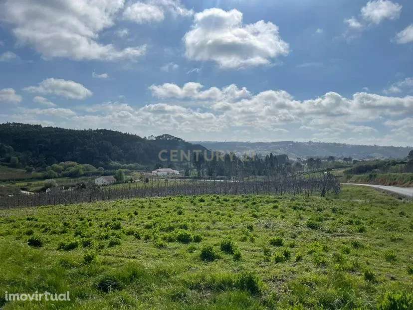 Terreno Rústico em Salir de Matos, Caldas da Rainha - Grande imagem: 2/6
