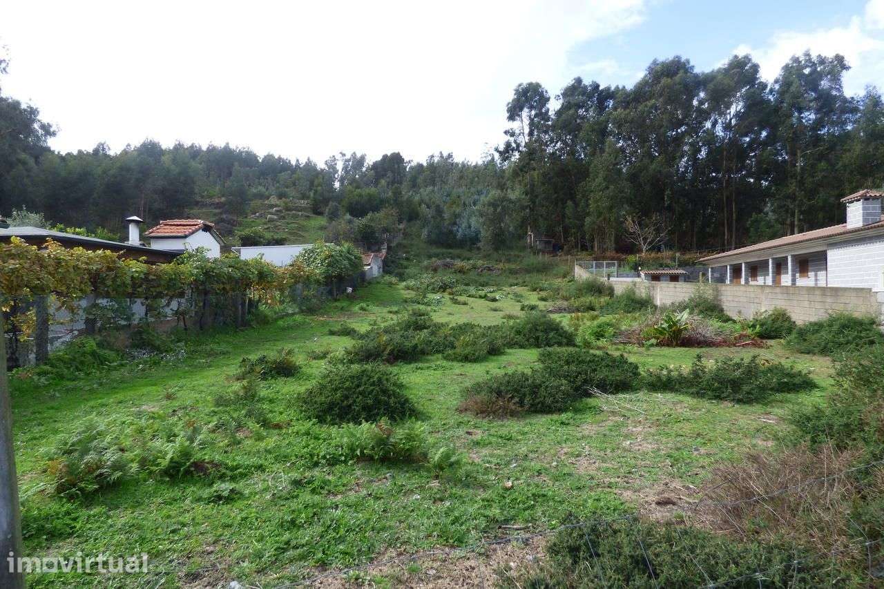Terreno para construção em Roriz - Grande imagem: 2/4