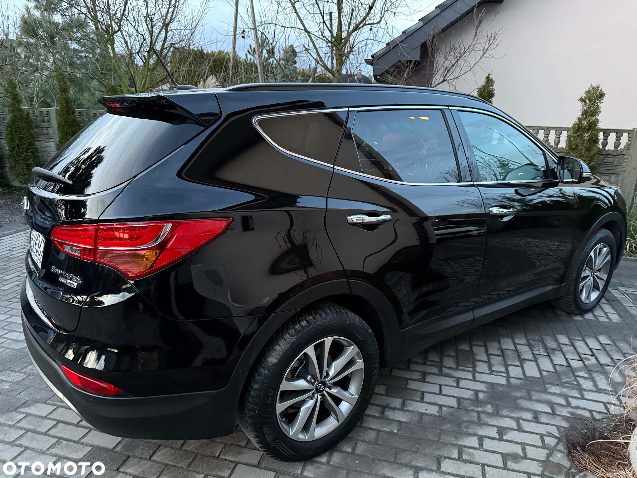 Hyundai Santa Fe 2.2 CRDi Platinium - 6