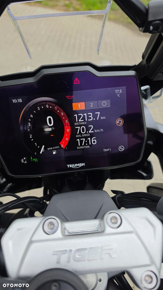 Triumph Tiger - 13