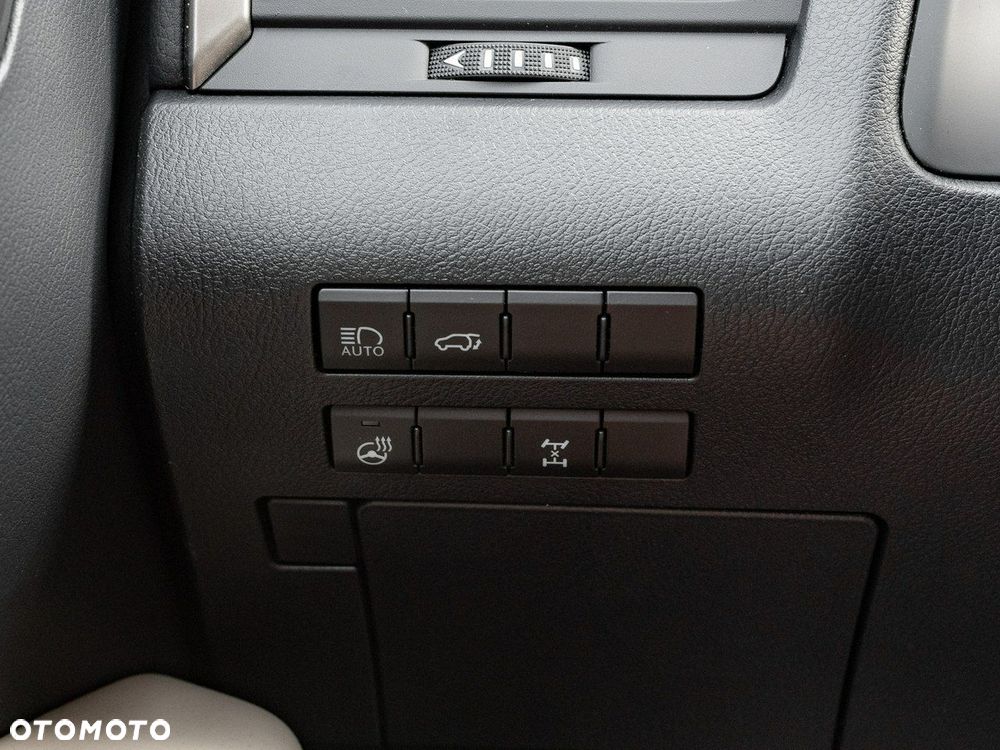 Lexus RX 300 Business Edition + - 19