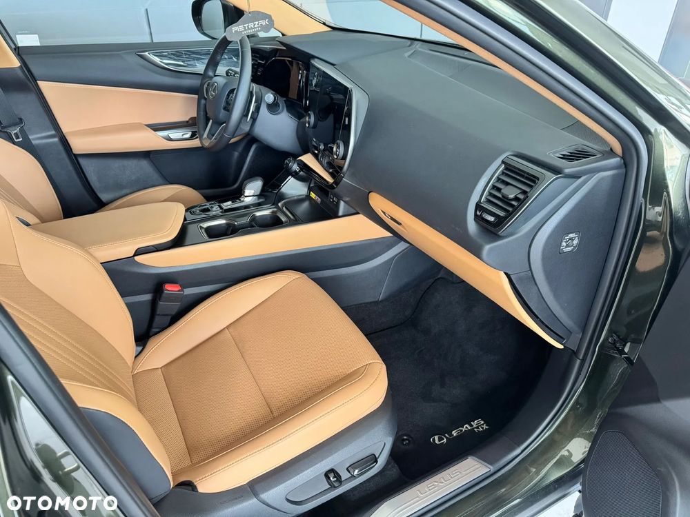 Lexus NX - 19