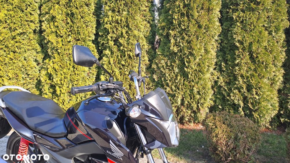 Honda CBF - 7