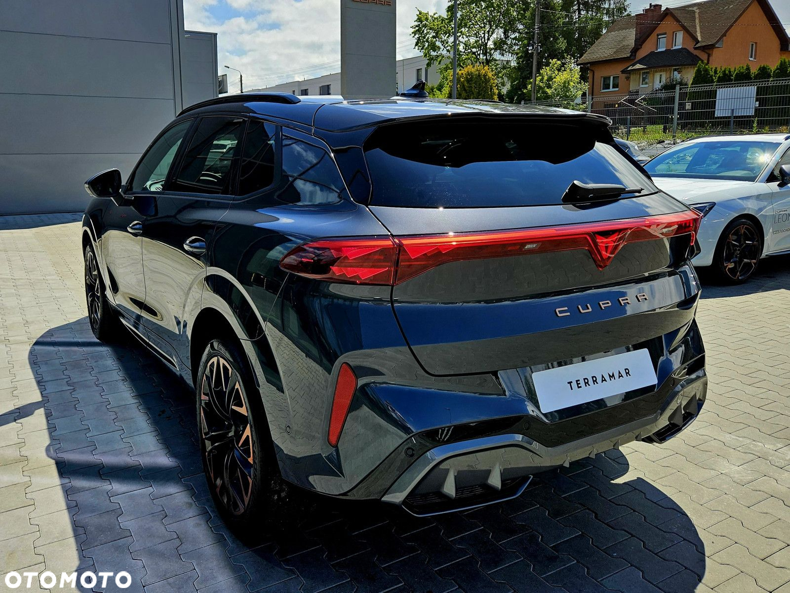 Cupra Terramar - 6