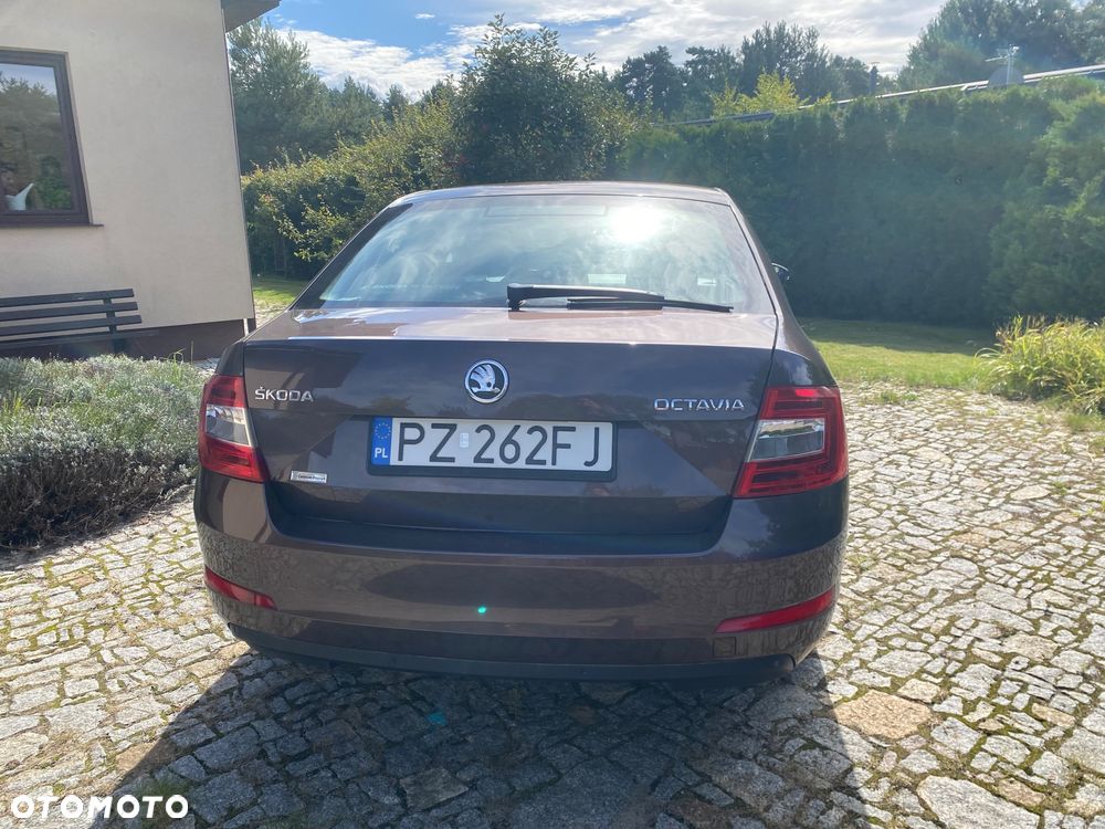 Skoda Octavia 1.4 TSI Ambition - 5