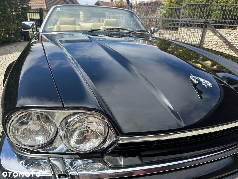 Jaguar XJS - 29