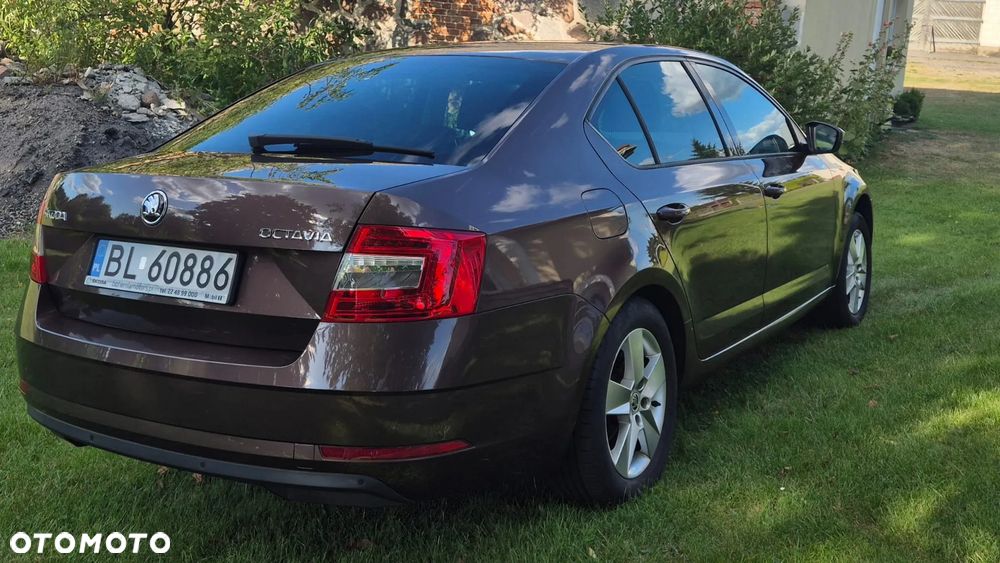 Skoda Octavia 1.4 TSI Ambition - 17