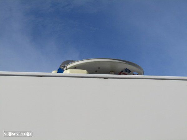 McLouis Yearling Série Limitada - 14