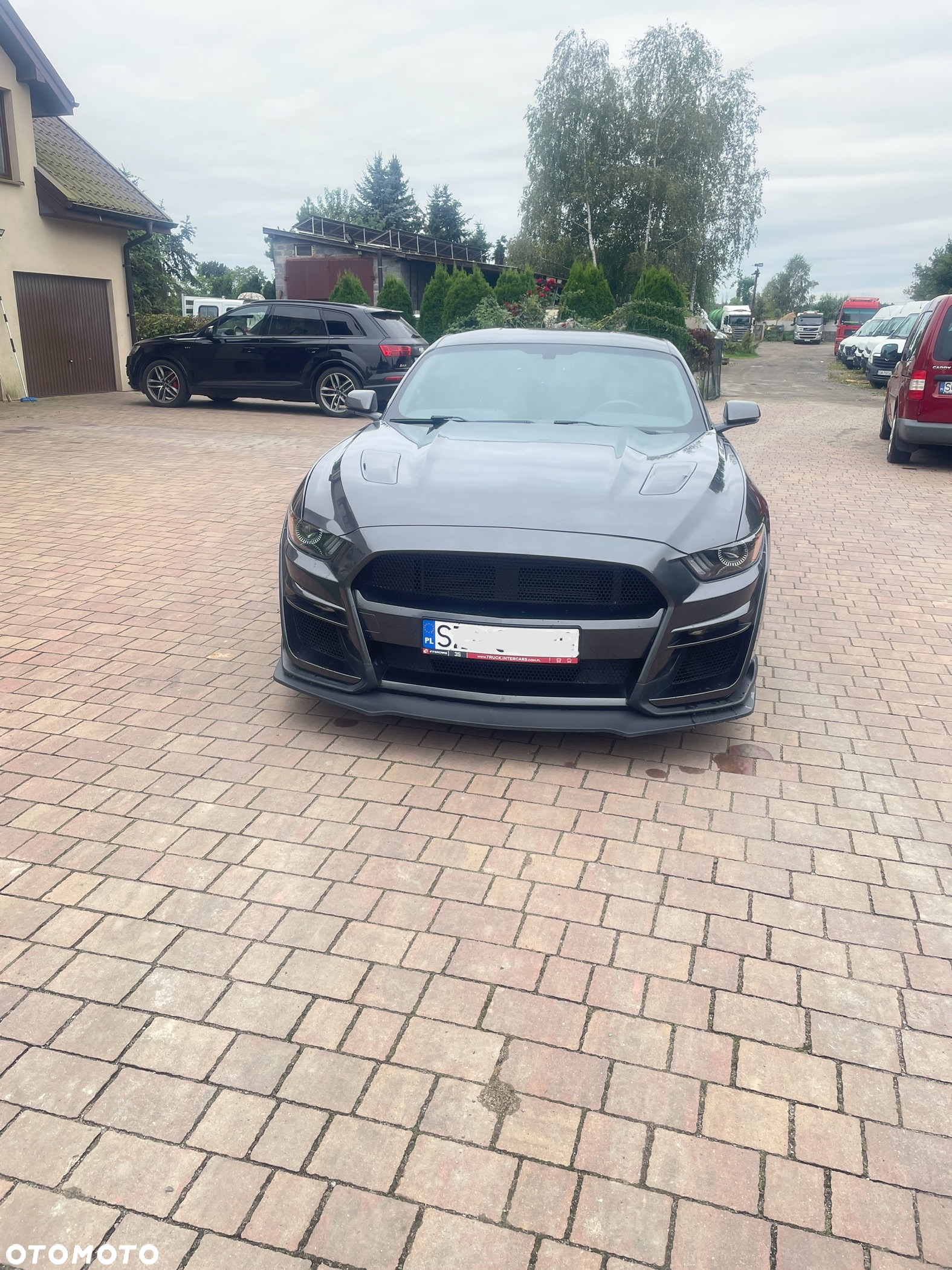 Ford Mustang 5.0 V8 GT - 3