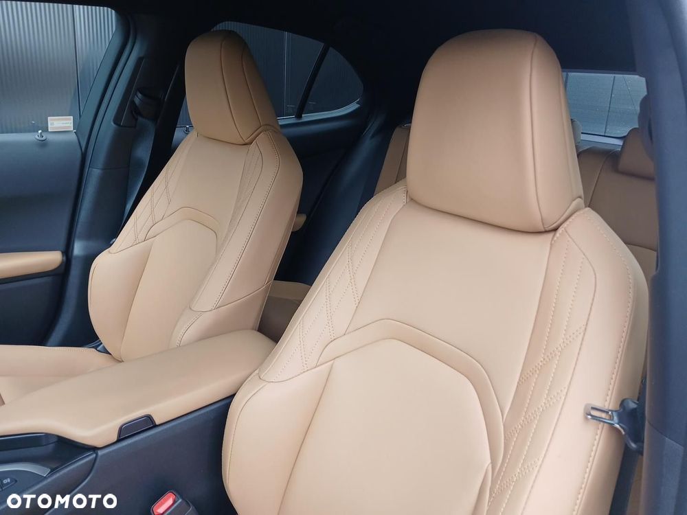 Lexus UX 250h GPF F Sport Design 2WD - 21