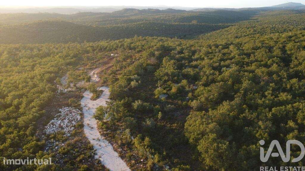 Terreno Agrícola em Freixianda, Ribeira do Fárrio e Formigais - Grande imagem: 3/37