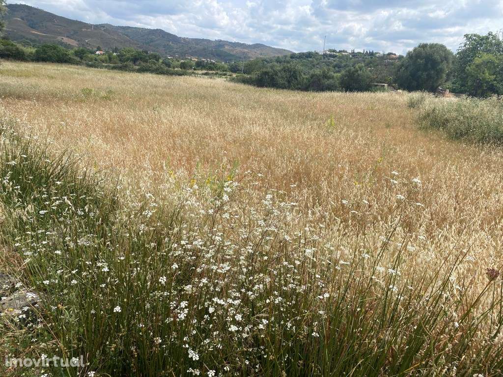 Lote de terreno rústico com a área total de 2400m2, Salir, Algarve - Grande imagem: 3/16
