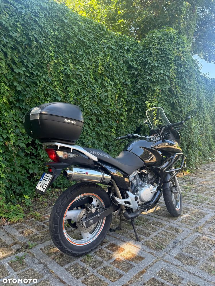Honda XL - 6