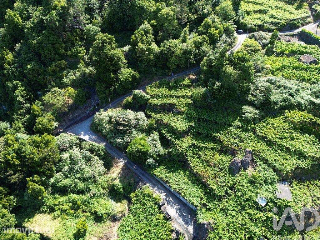Terreno Agrícola em São Vicente - Grande imagem: 2/9