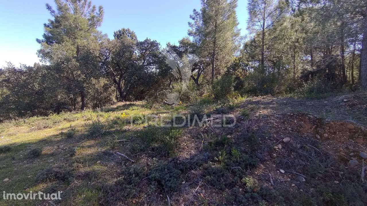 Terreno Rústico 1440 m2 - Grande imagem: 5/14