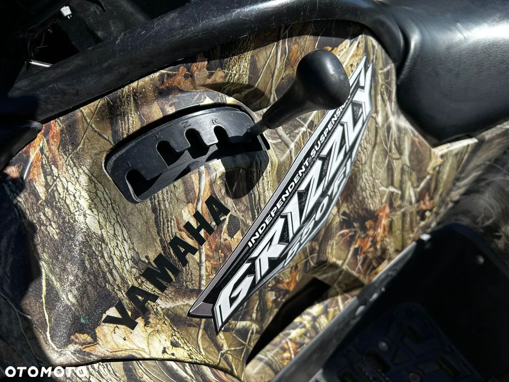 Yamaha Grizzly - 13
