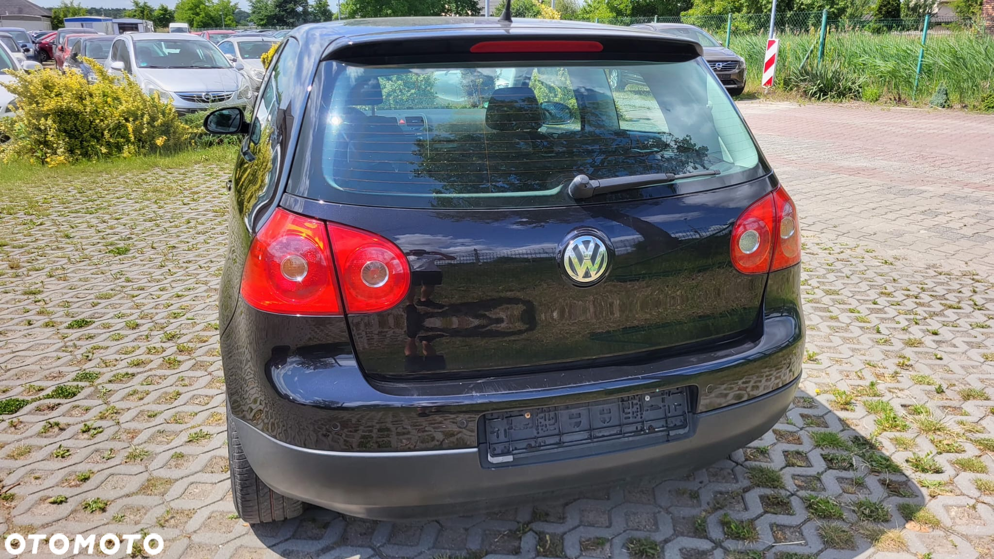 Volkswagen Golf - 29