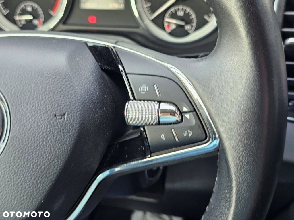 Skoda Karoq 2.0 TDI SCR 4x4 Ambition DSG - 18
