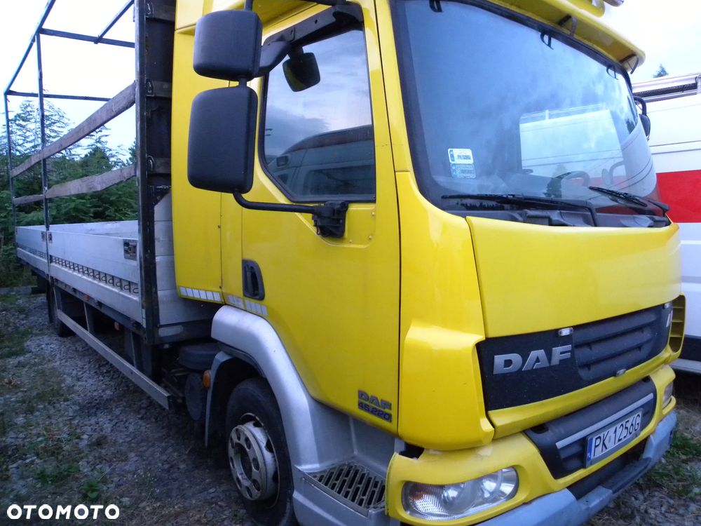 DAF LF45.220 - 2