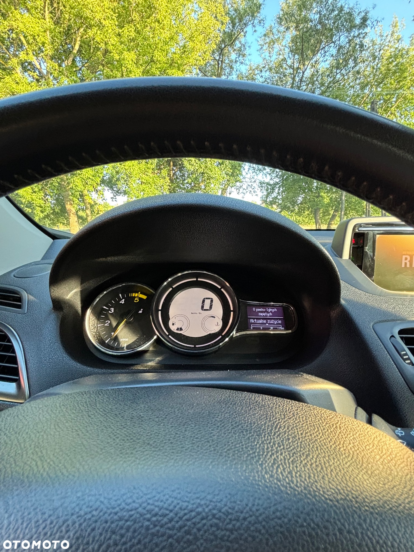 Renault Megane - 10