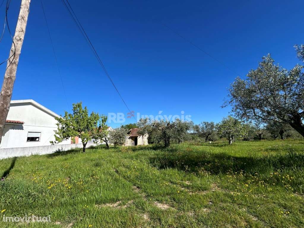 Terreno plano para construção - Pesqueira, Tomar - Grande imagem: 2/25