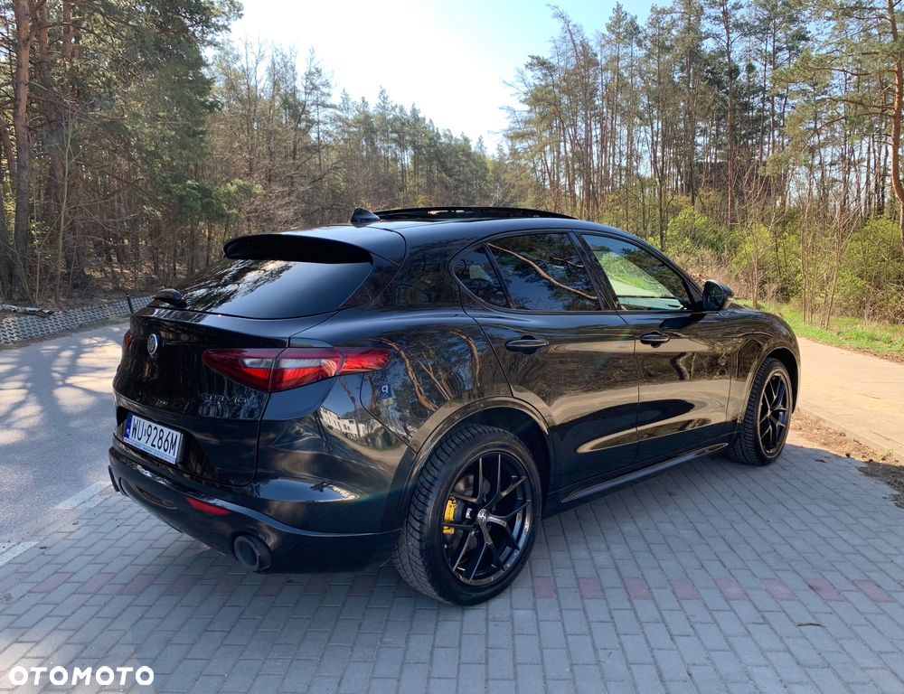 Alfa Romeo Stelvio 2.0 Turbo Veloce Q4 - 5