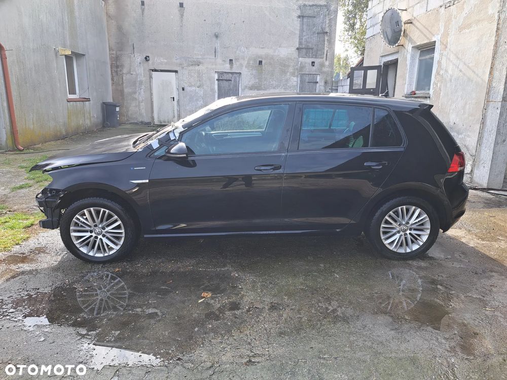 Volkswagen Golf - 1