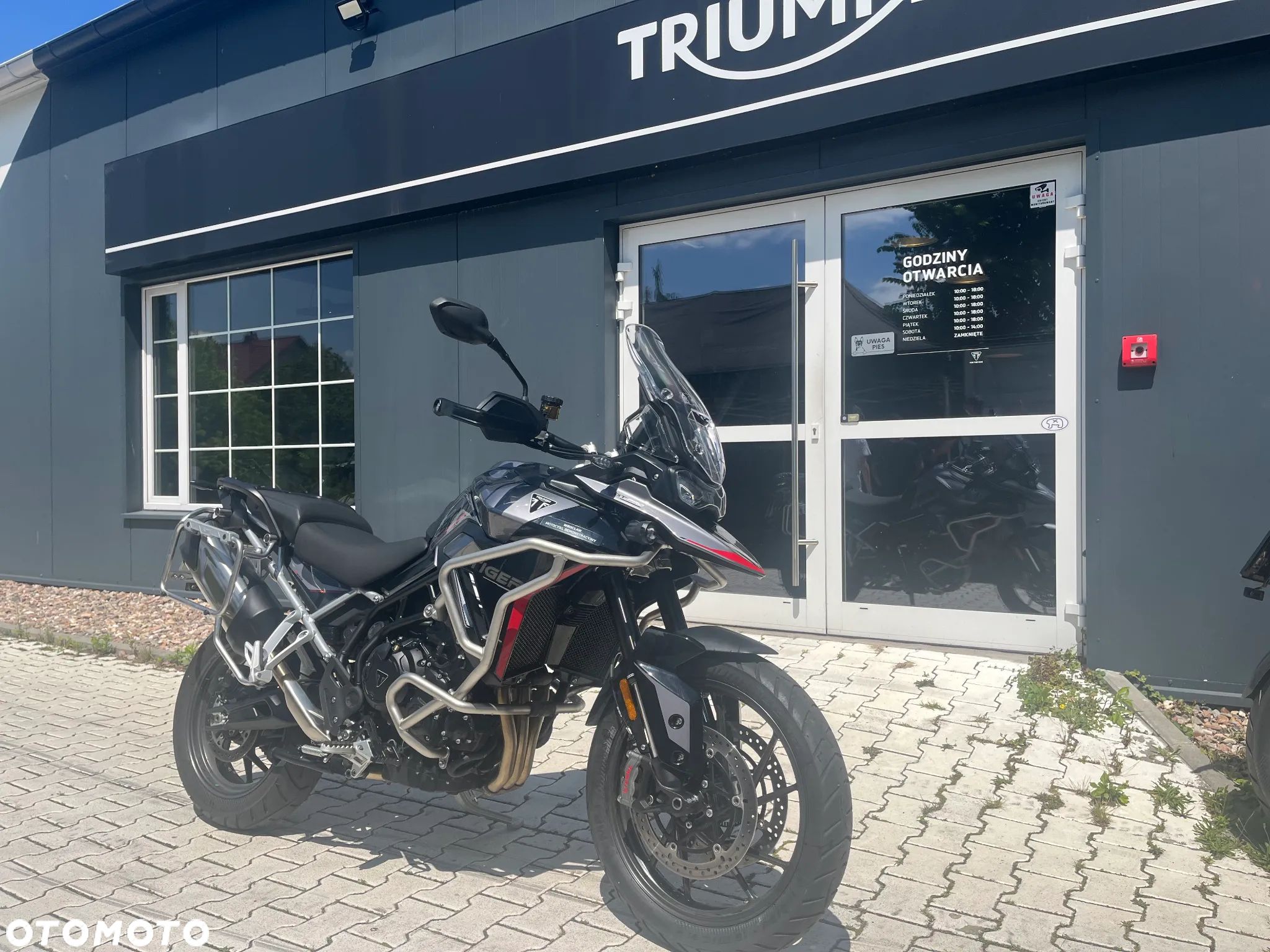 Triumph Tiger