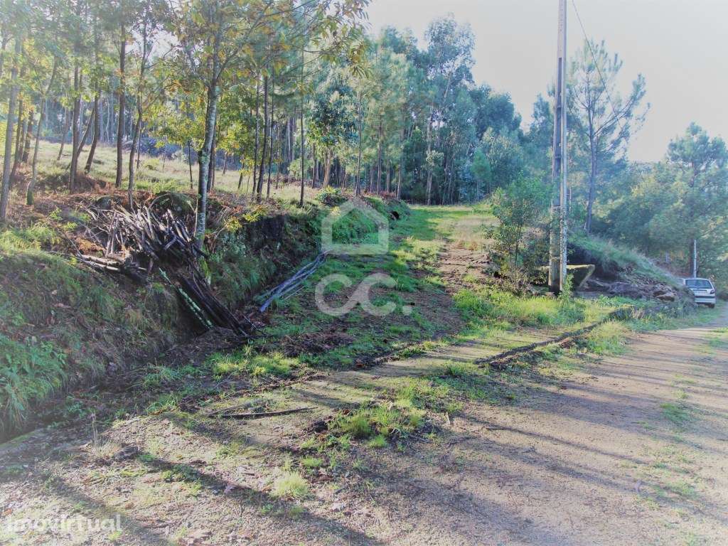 Terreno em Barcelos! - Grande imagem: 5/10