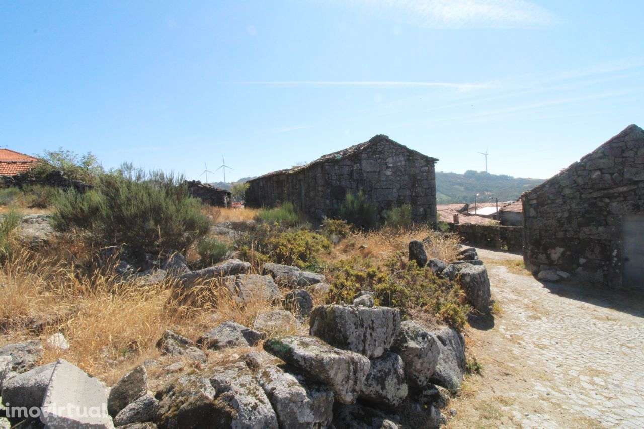 Moradia p/ reconstrução – Oliveira de Frades - Grande imagem: 2/26