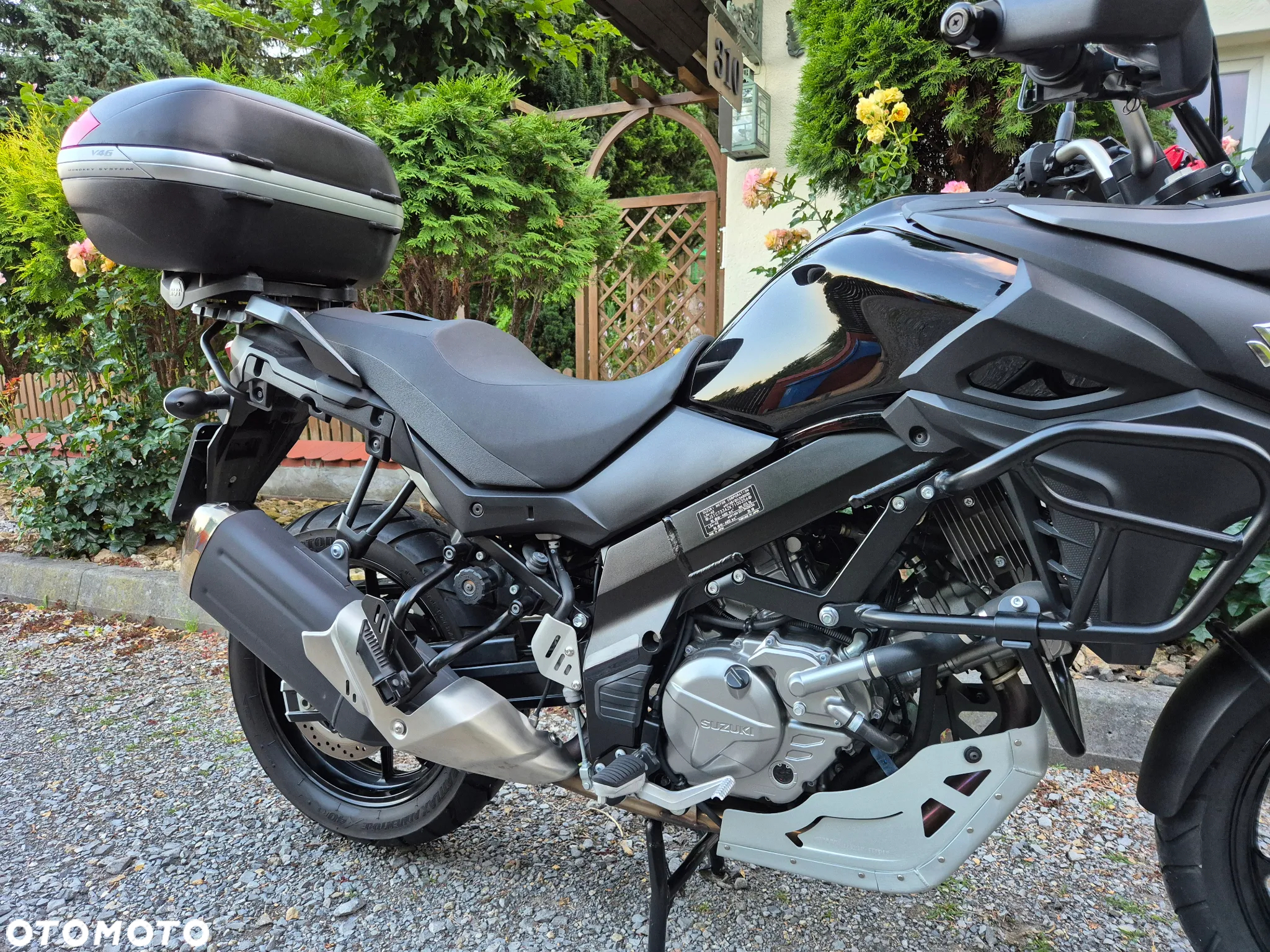 Suzuki DL - 15